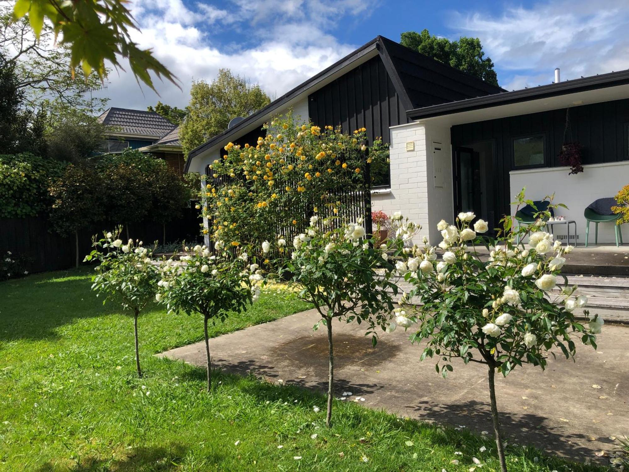 Fashion,Bright And Spacious,Superior Location Hamilton Eksteriør billede
